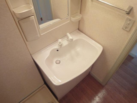 シャンプードレッサー