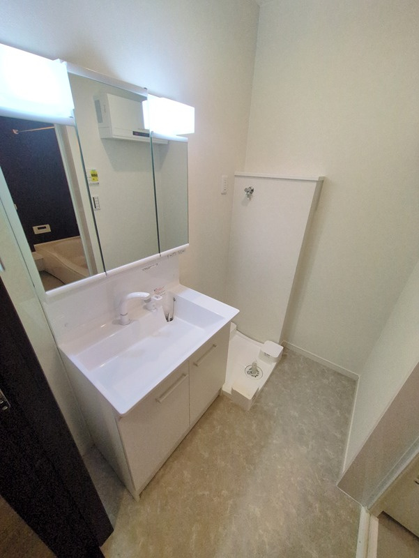 グランルーチェの洗面所