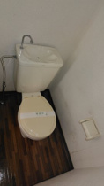 落ち着いた色調のトイレです