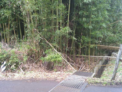 【外観】 | 千葉市若葉区中野町 売地
