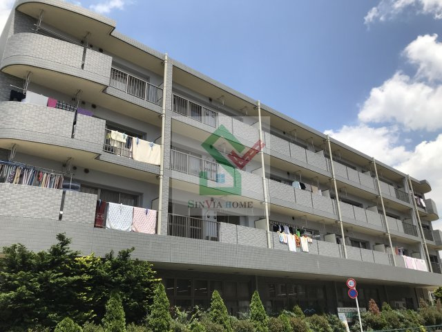 セレノプラシード