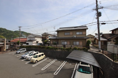 【展望】 | プラシード