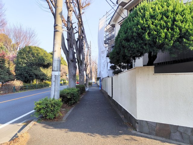 練馬区大泉学園町8丁目売地の周辺|コメリ（ホームセンター）は徒歩1分です