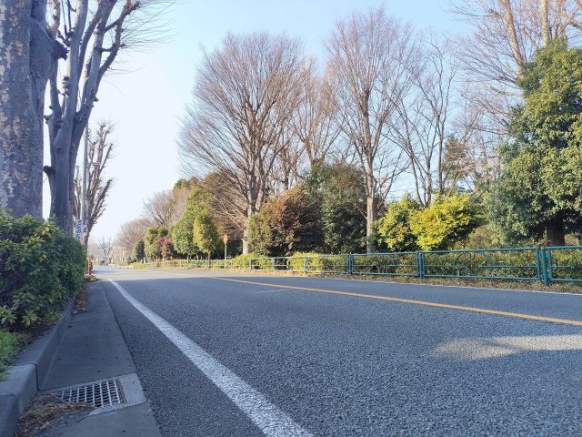 練馬区大泉学園町8丁目売地の周辺