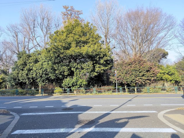 練馬区大泉学園町8丁目売地の周辺