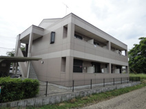 コンフォールの画像