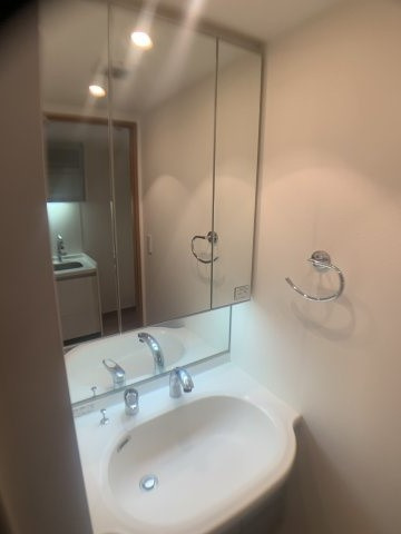 日神デュオステージ両国の洗面所