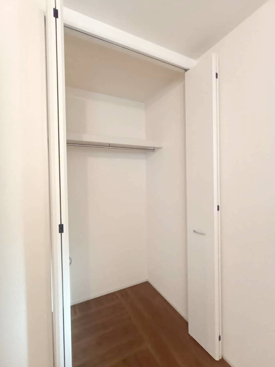 三郷市　戸ケ崎　新築戸建　全1棟　の収納|施工例です