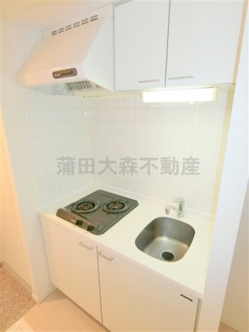 レジデイア蒲田Ⅱのキッチン|2口ガスシステムキッチン