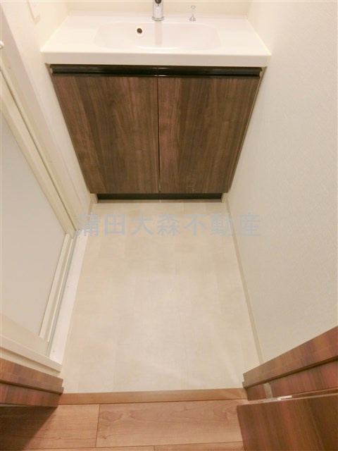 ベルファース大森山王の洗面所