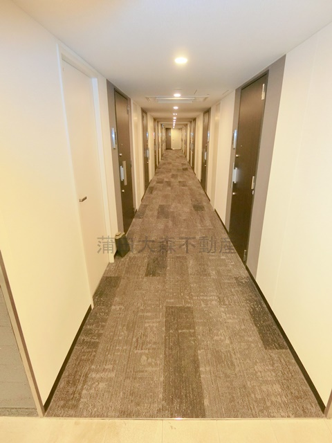 ベルファース大森山王のその他共用部分|カーペット敷きの共用内廊下