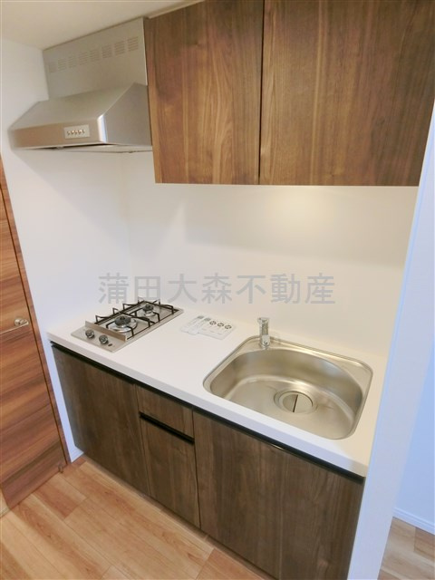 ベルファース大森山王のキッチン|2口ガスグリル付システムキッチン