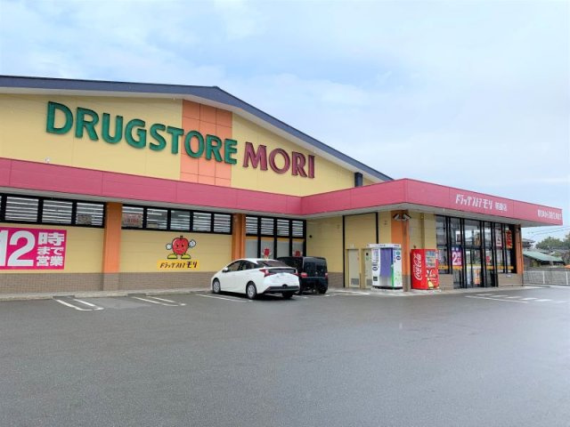 レオパレス御井の周辺