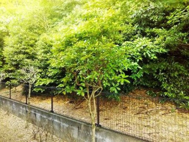 レオパレス日の隈のその他