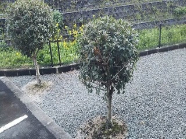 レオパレスクレオのその他