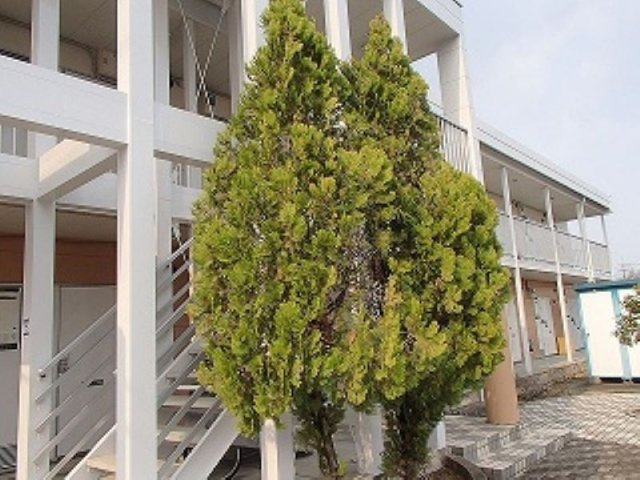 レオパレスセジュールのその他