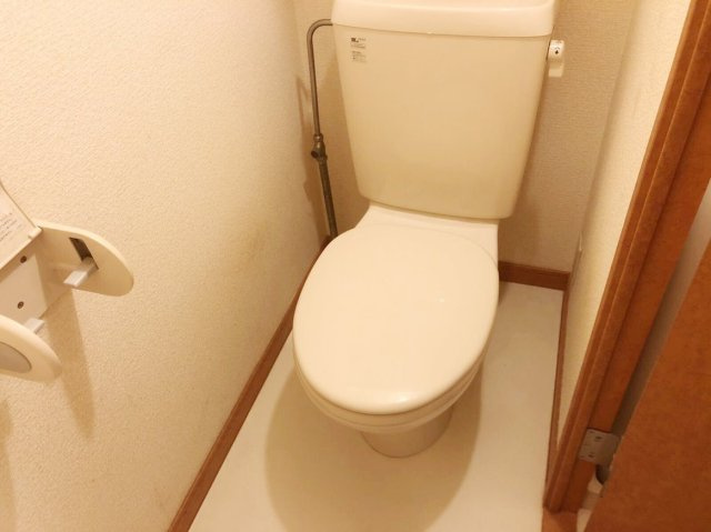 レオパレスマウンドのその他