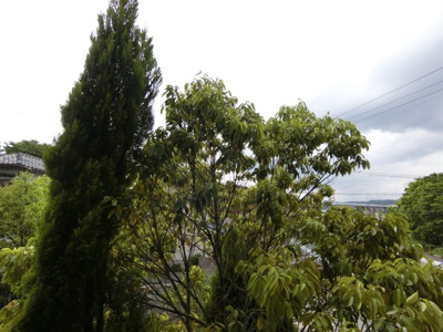 【展望】 | セントーレア