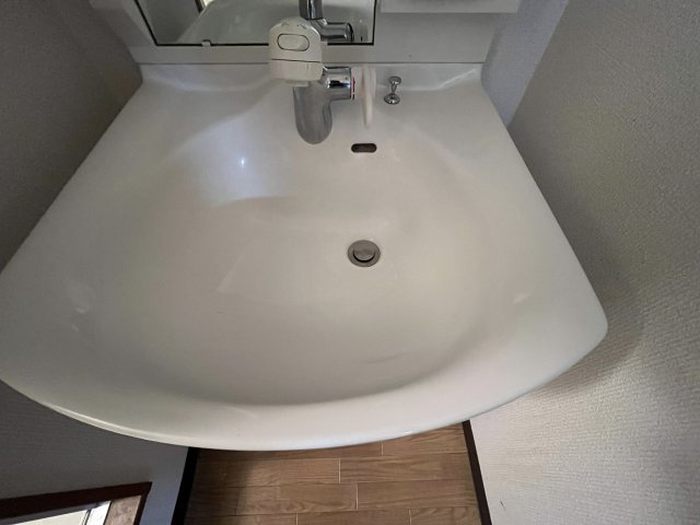 メゾンドハルカの洗面所