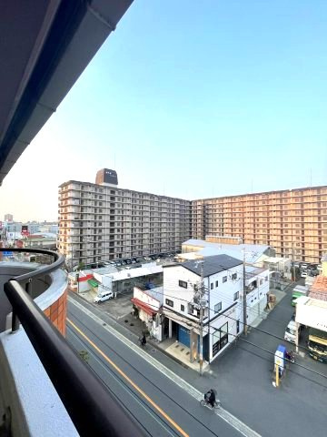 ピュアネスDoiの展望