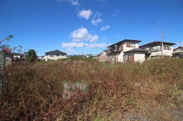 栃木市大平町西野田