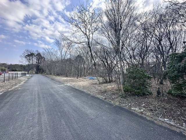 【前面道路含む現地写真】