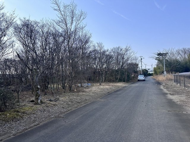【前面道路含む現地写真】