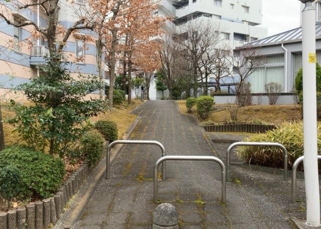 【中庭】 | 蓮生寺公園通り三番街三号棟 | 中庭（パティオ）とは、一つの建築物の内部に設けられた、壁などで囲われている庭のことを指します。コの字型、ロの字型が主流ですが、L字型の中庭もあります。最近では、インテリア性の高さからも人気があります。