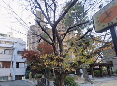 【周辺】 | 朝日プラザ六甲2