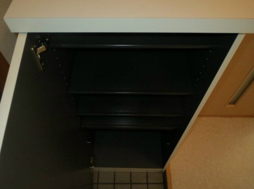 メゾンユニソール神楽坂のその他|玄関収納(同一仕様写真)