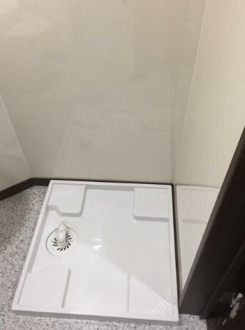 プレオネのその他