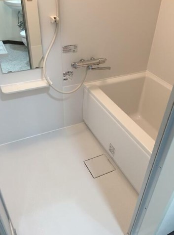 プレオネの浴室