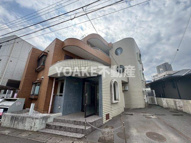 ルパルクマツガエの画像