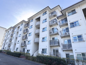 上大岡セントラルハイツD棟の画像