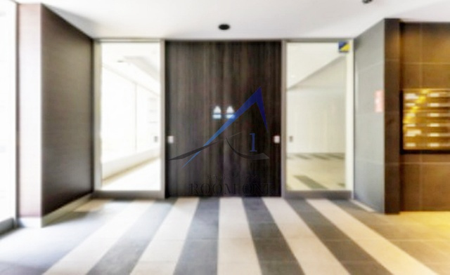 TRADIS　RISE　錦糸町のエントランス|エントランスです。