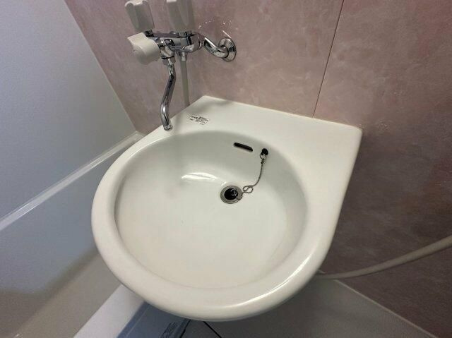 メゾン田中の洗面所