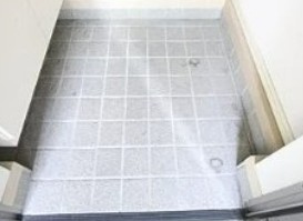 フェリセス・コヒナタの玄関