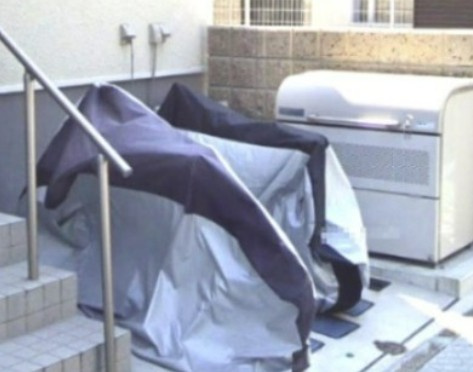 フェリセス・コヒナタのその他共用部分