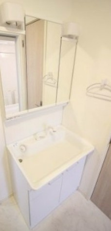 フェリセス・コヒナタの洗面所