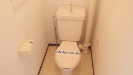 ビラシティ鈴木のトイレ|落ち着いた色調のトイレです