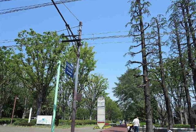 スマイルの周辺