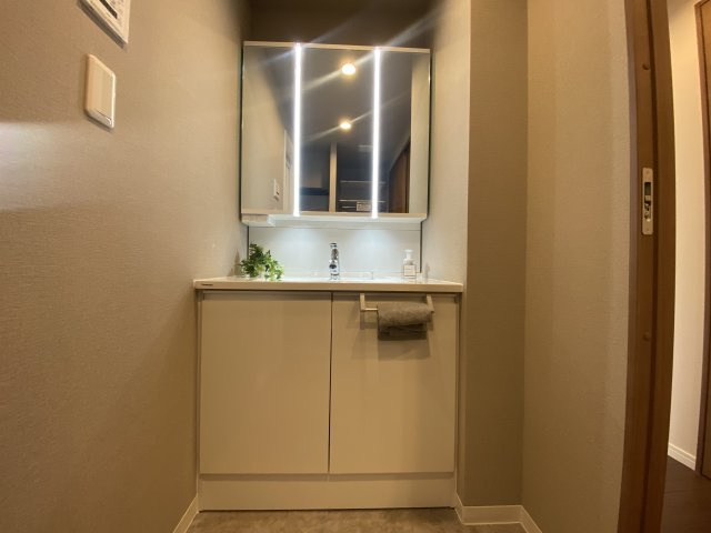 アイランドタワースカイクラブC棟の洗面所