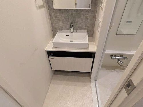 ライオンズ東京三ノ輪ミレスの独立洗面台