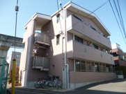 セビラーナの画像