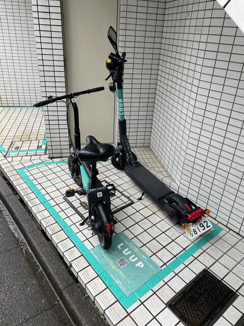 参考）２０２１年撮影