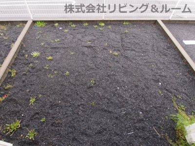 【庭】 | ジュネス B棟