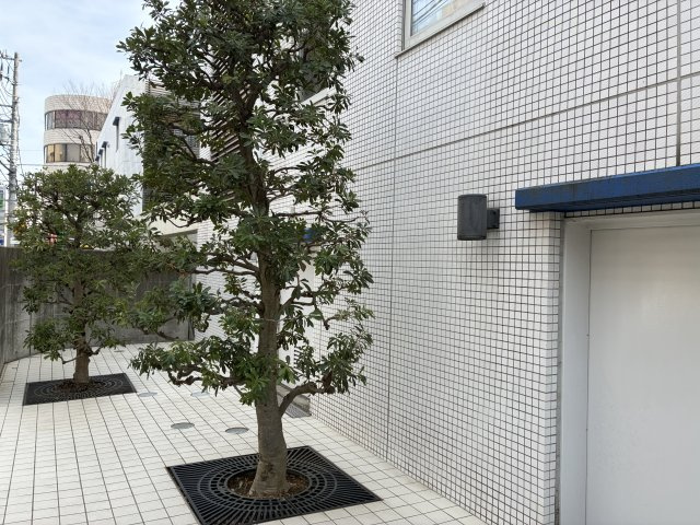 アルスたまプラーザＴ-ＭＯＤＥのエントランス|（外）