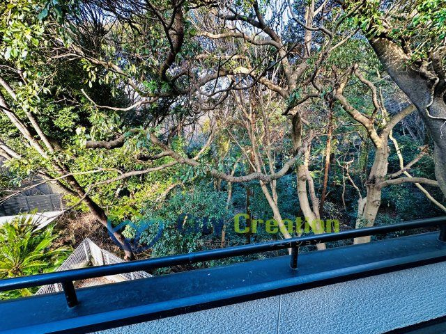 中郡大磯町西小磯　広々リフォーム戸建　の展望