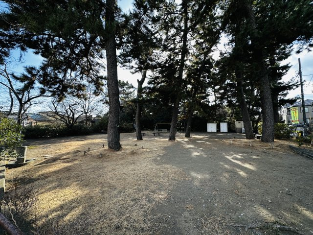 大磯町東町3丁目 売地の周辺