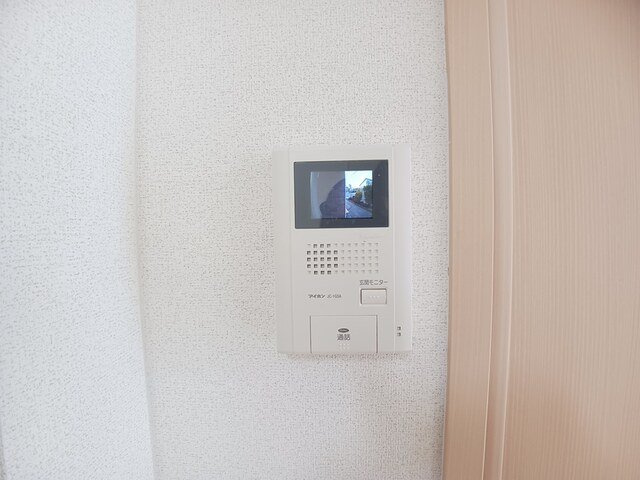 ａｇａｐａｎｔｈｕｓのその他